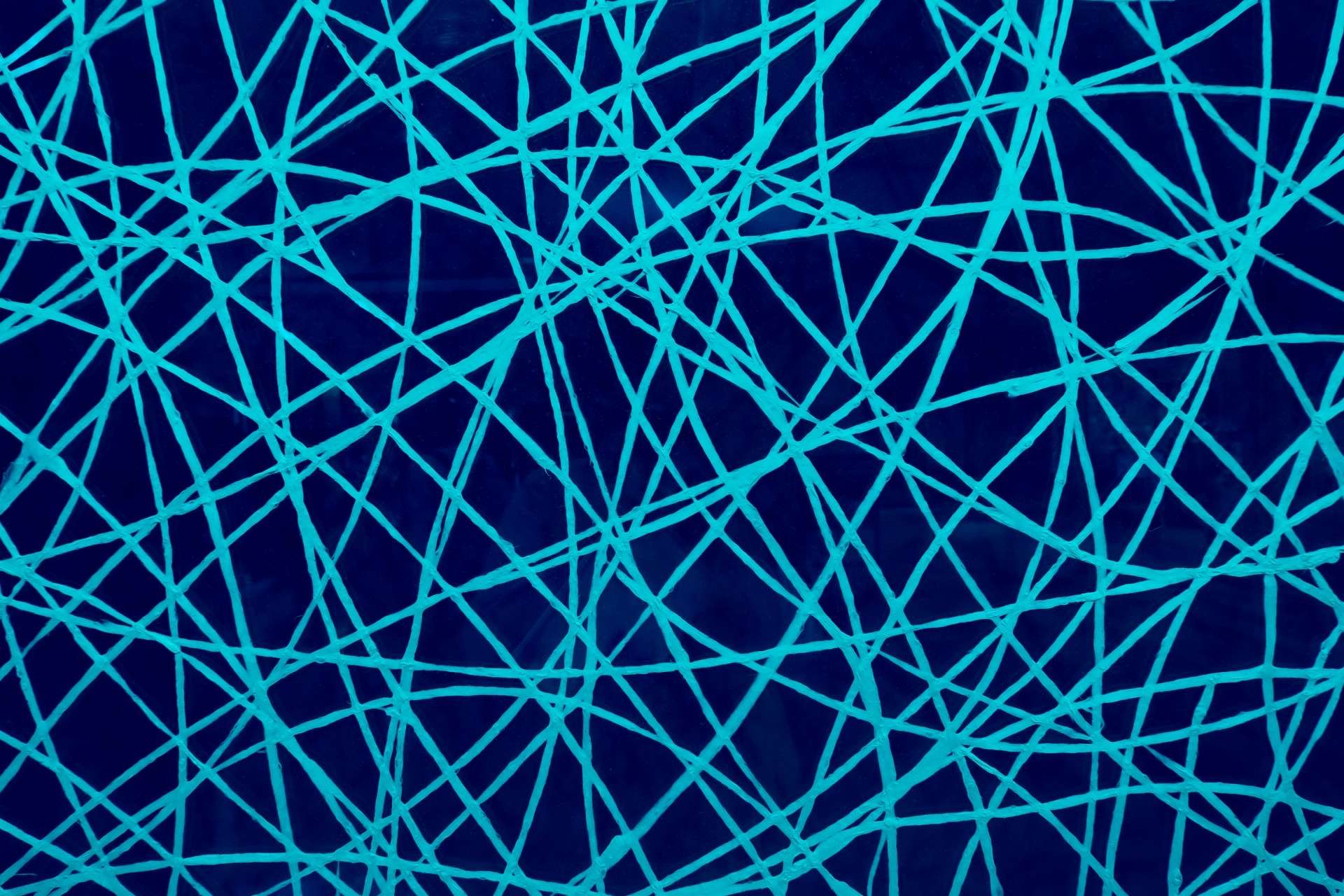 最近話題の「ファッシア」とは？