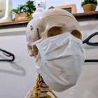 4月の身体変調と「筋膜」の相関：環境変化がもたらす緊張型頭痛・肩こりのメカニズムと対策